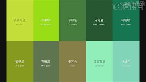 綠色可以配什麼顏色 三才局重要嗎